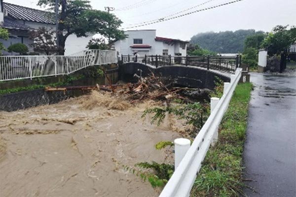 一級河川本沢川 支障木堆積状況