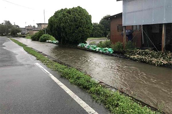 白石川右岸（上岡島137地先） 土のう設置状況