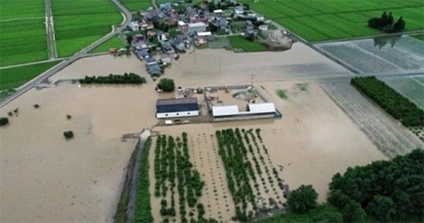 糠野目地区　ドローン写真