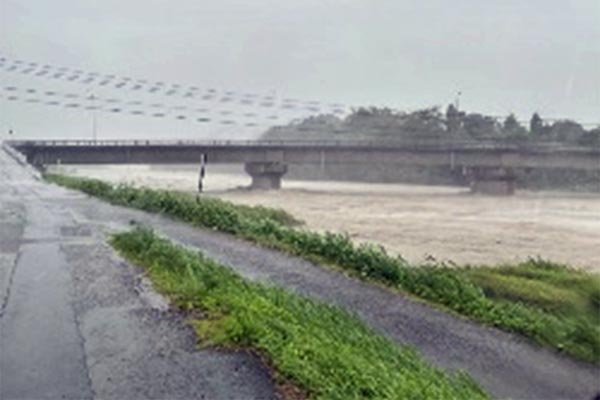 綾南川右岸（入野橋付近）