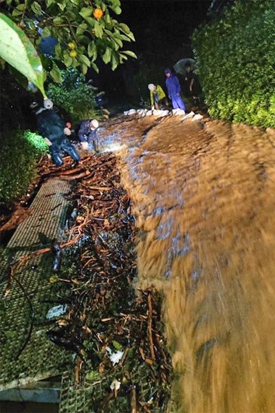 大草の池周辺の冠水