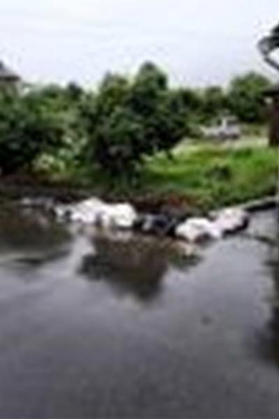 柳本町用水路　積み土のう工