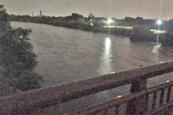 境川左岸（千成橋付近）