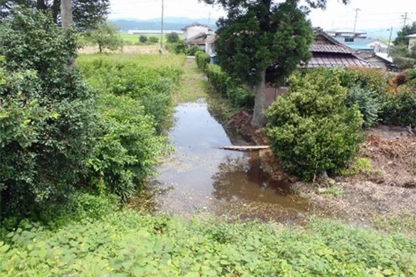 桃生地区の浸水被害（旧北上川堤防からの浸水）