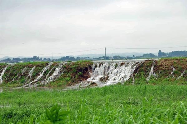 出来川左岸（渋江地先）越水