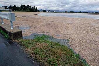 最上川左岸：鬼神川付近（東大塚地内）浸水被害