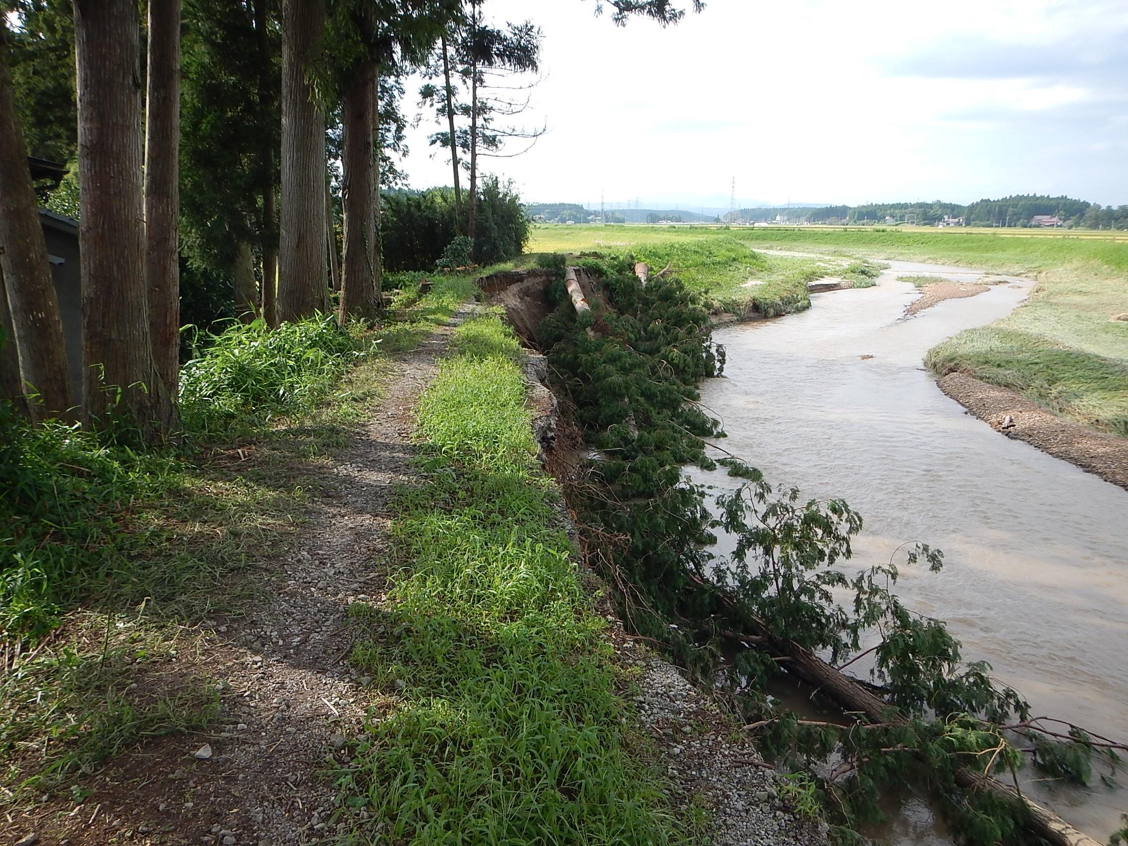 大崎市古川地区（多田川）木流し工法による洗掘防止